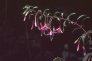 zy_zy